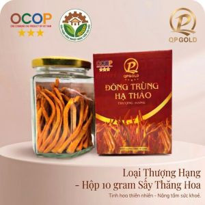 Đông trùng hạ thảo - loại thượng hạng - hộp 10 gram Sấy Thăng Thiên
