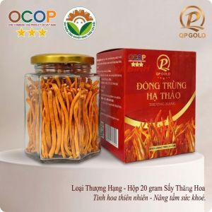 Đông trùng hạ thảo - loại thượng hạng - hộp 20 gram Sấy Thăng Thiên