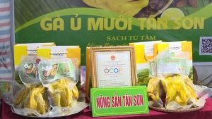 GÀ Ủ MUỐI TÂN SƠN