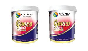 SƠN NGOẠI THẤT GOECO S810