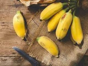 Chuối tây thái Việt Hà