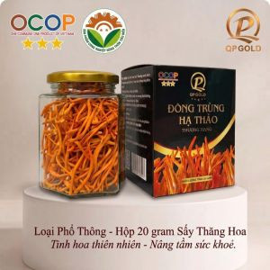 Đông trùng hạ thảo - loại phổ thông - hộp 20 gram Sấy Thăng Thiên