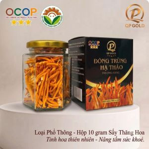 Đông trùng hạ thảo - loại phổ thông - hộp 10 gram Sấy Thăng Thiên