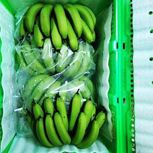 Chuối Viba Nguyên Nải Xanh