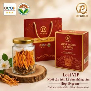 Đông trùng hạ thảo - loại Vip - hộp 10 gram - nuôi cấy trên ký chủ nhộng tằm