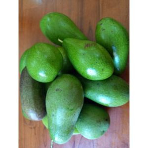 Bơ Trái Siêu Sạch