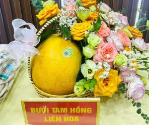 Bưởi Tam hồng Liên Hoa