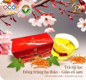 Trà túi lọc Đông trùng hạ thảo- Giảo cổ lam QPGold