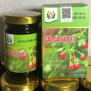 Cao Cà Gai Leo