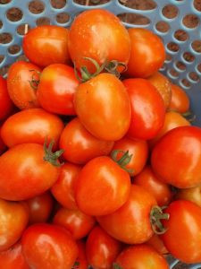 Cà chua Phong Châu