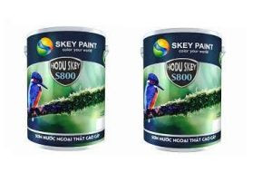 SƠN CAO CẤP NGOẠI THẤT HODU SKEY S800