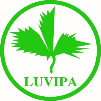 Công ty Cổ phần giấy Lửa Việt